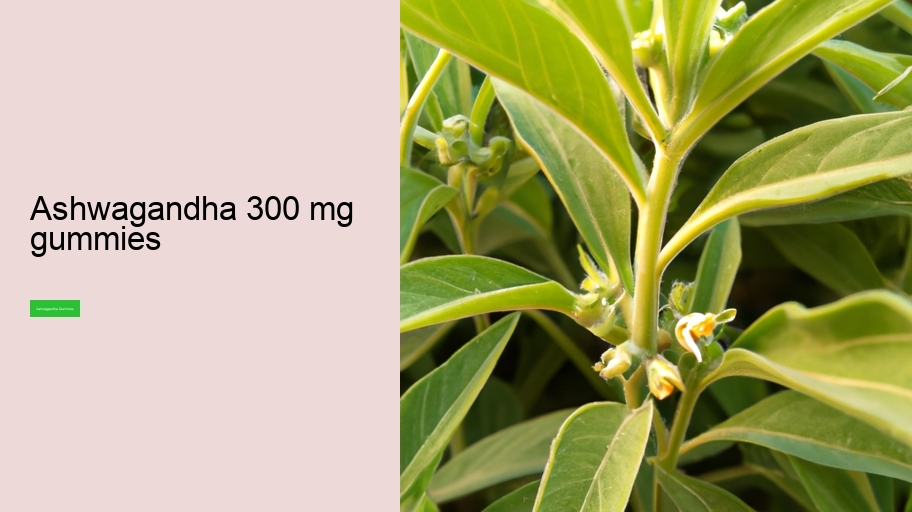 ashwagandha 300 mg gummies