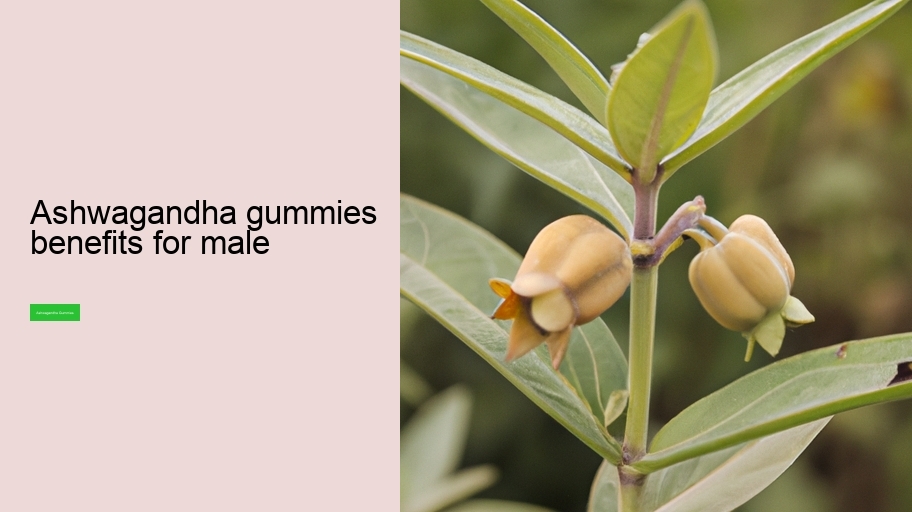 ashwagandha gummies benefits for male