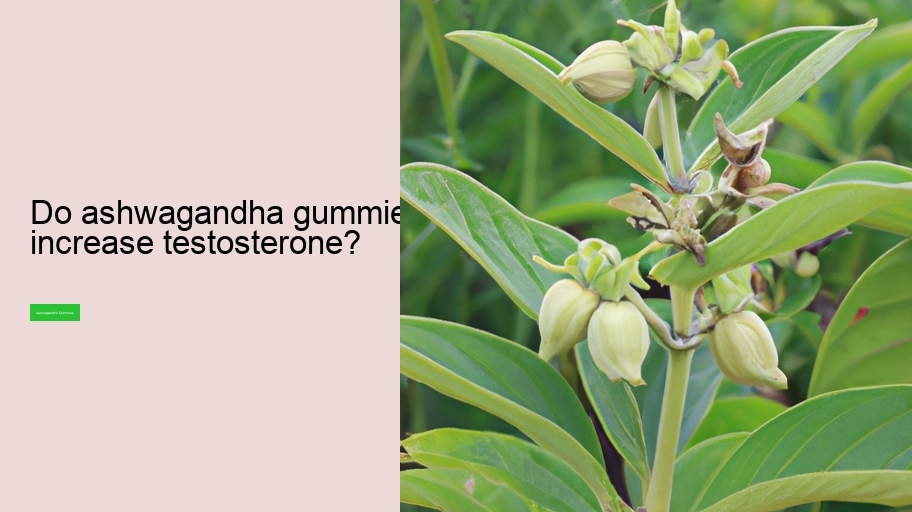 Do ashwagandha gummies increase testosterone?