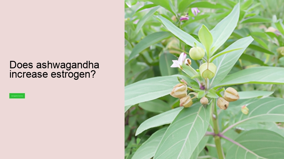 Does ashwagandha increase estrogen?