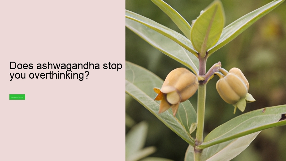 Does ashwagandha stop you overthinking?