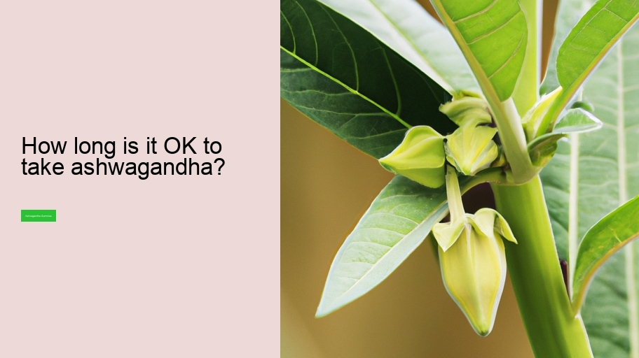 How long is it OK to take ashwagandha?