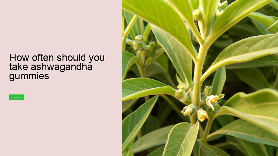 how often should you take ashwagandha gummies