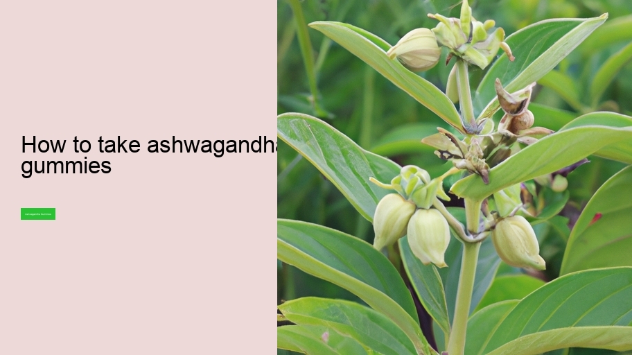 how to take ashwagandha gummies