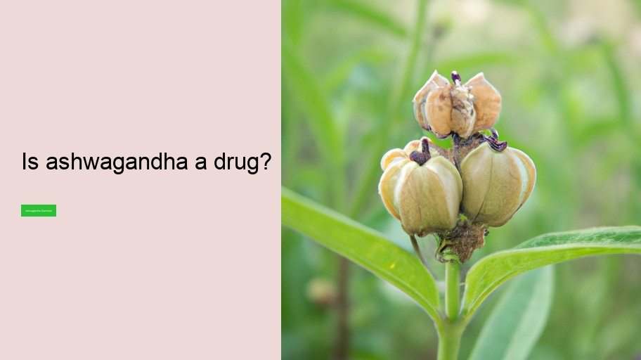 Is ashwagandha a drug?