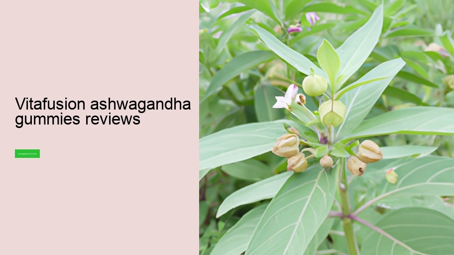 vitafusion ashwagandha gummies reviews