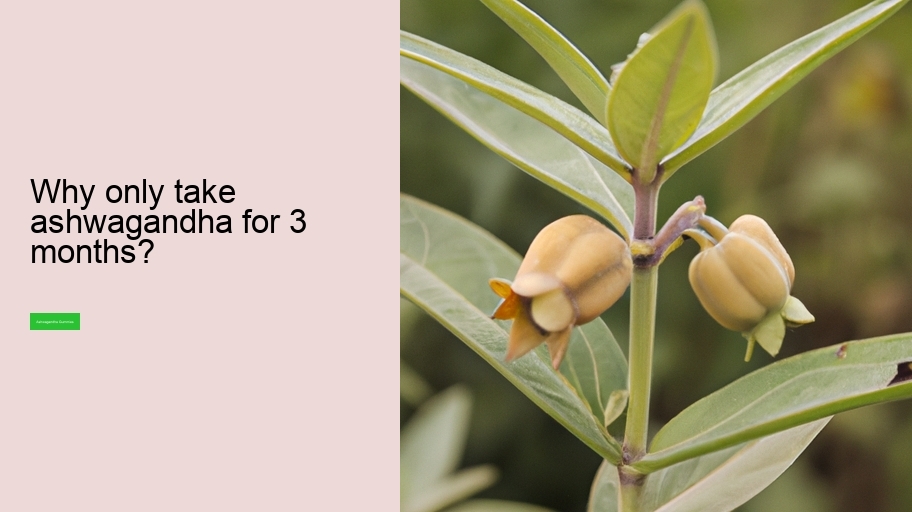 Why only take ashwagandha for 3 months?
