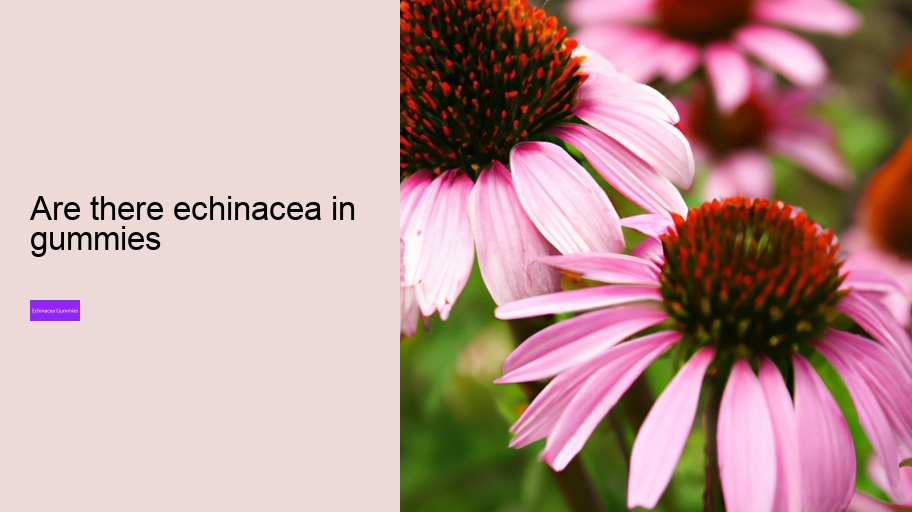 are there echinacea in gummies