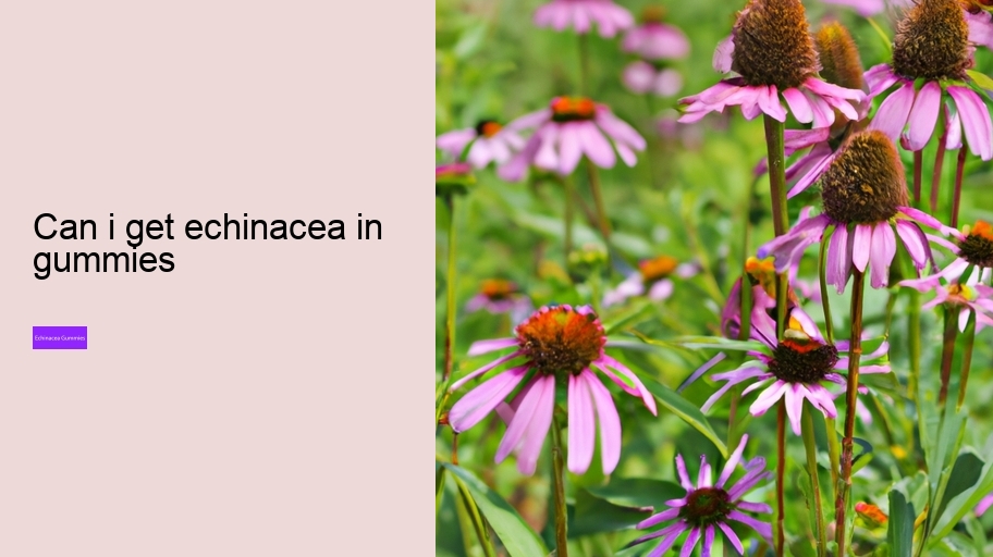 can i get echinacea in gummies