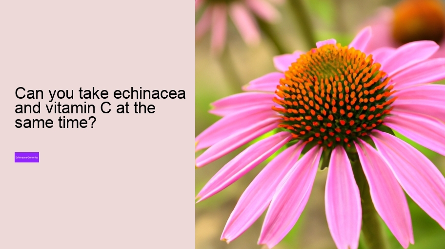 Can you take echinacea and vitamin C at the same time?