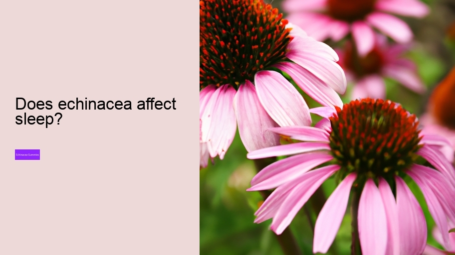 Does echinacea affect sleep?