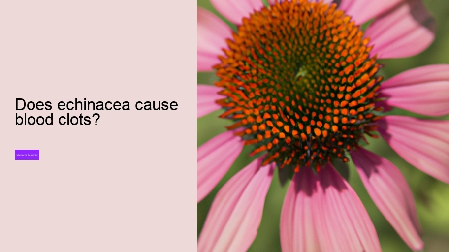 Does echinacea cause blood clots?