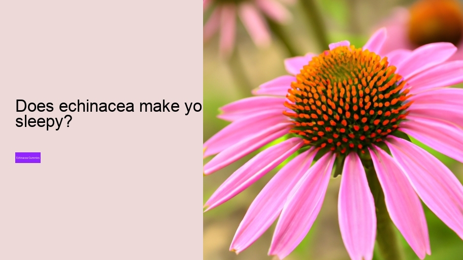 Does echinacea make you sleepy?