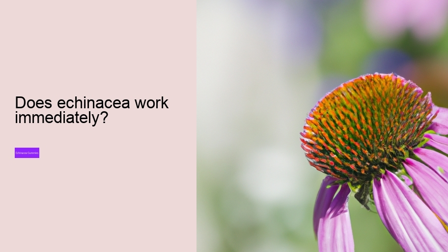 Does echinacea work immediately?
