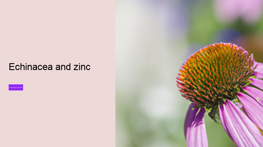 echinacea and zinc