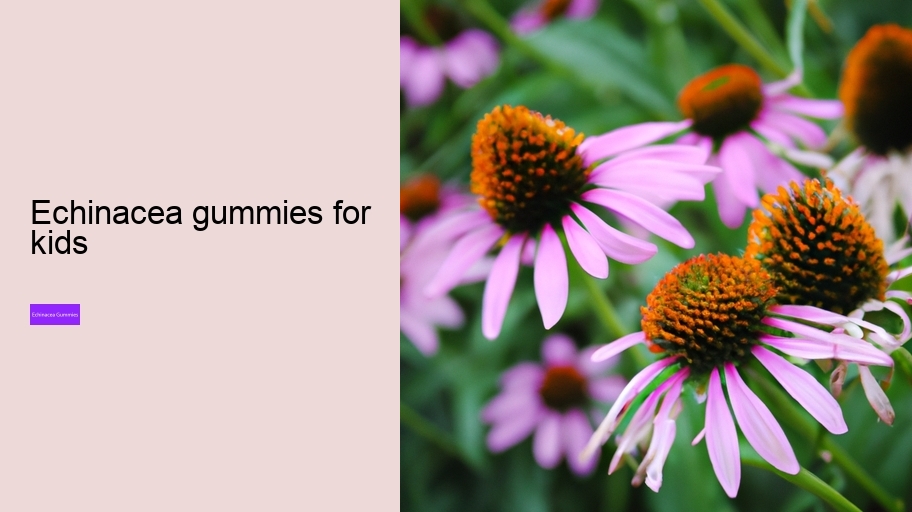 echinacea gummies for kids