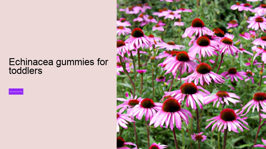 echinacea gummies for toddlers