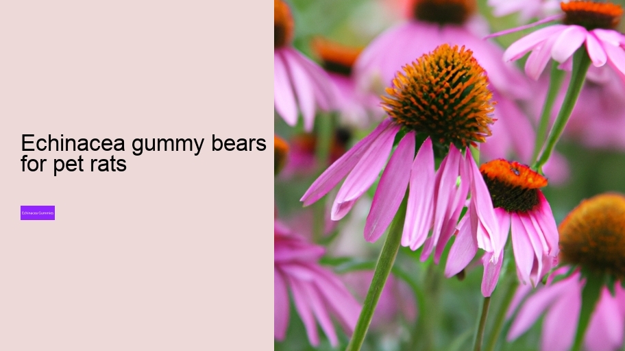echinacea gummy bears for pet rats