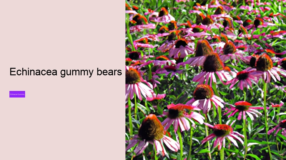 echinacea gummy bears