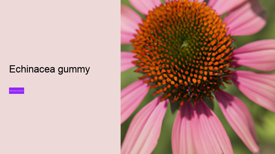 echinacea gummy