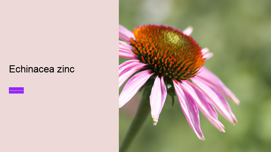 echinacea zinc