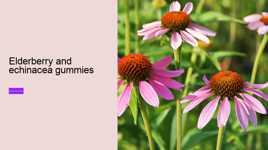 elderberry and echinacea gummies