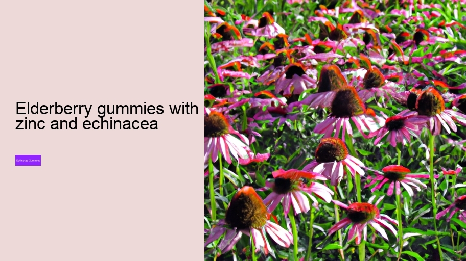 elderberry gummies with zinc and echinacea