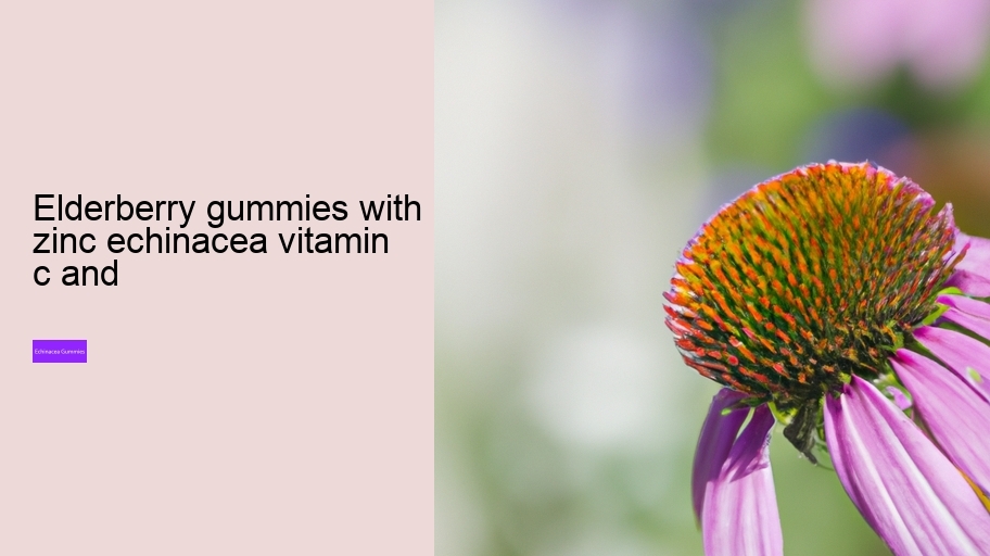 elderberry gummies with zinc echinacea vitamin c and