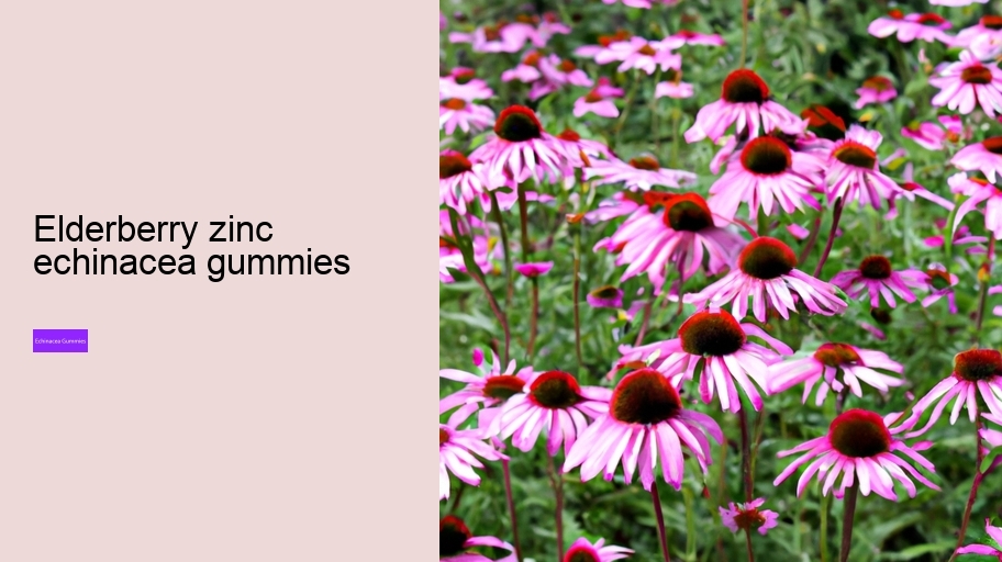 elderberry zinc echinacea gummies