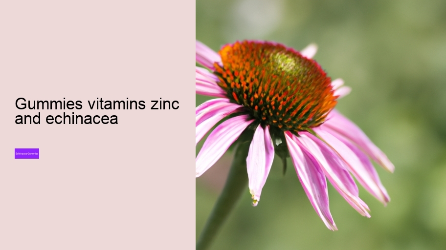 gummies vitamins zinc and echinacea