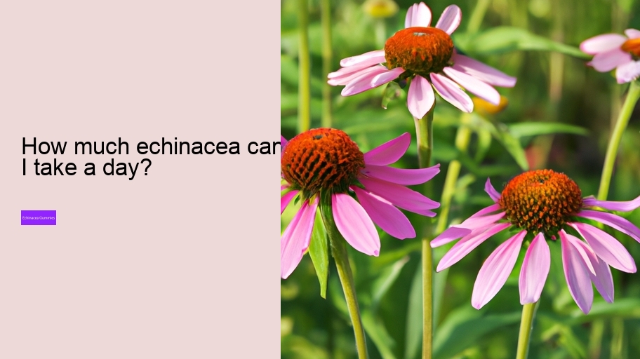 How much echinacea can I take a day?