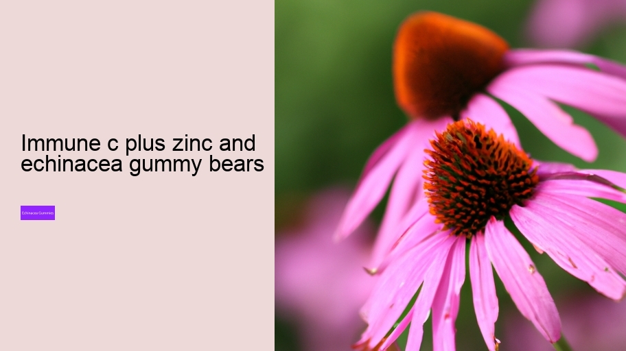 immune c plus zinc and echinacea gummy bears