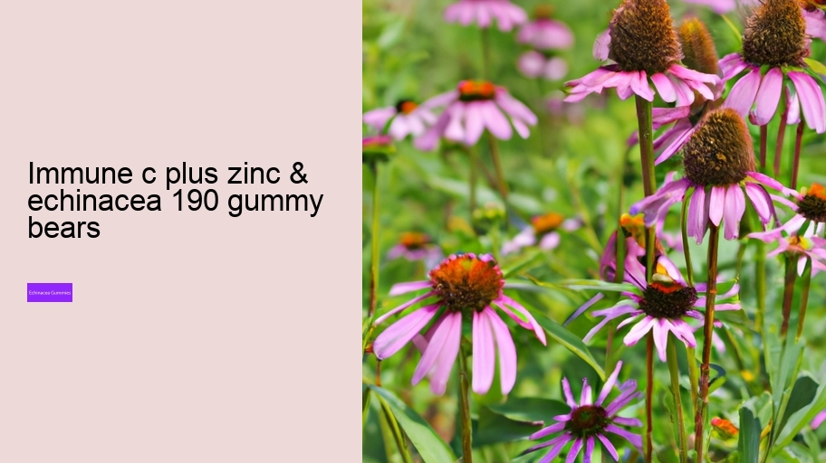 immune c plus zinc & echinacea 190 gummy bears