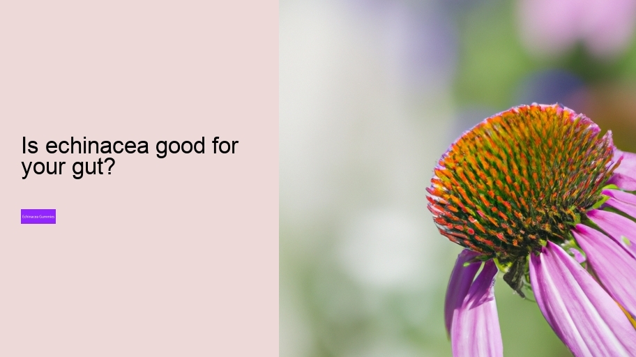 Is echinacea good for your gut?