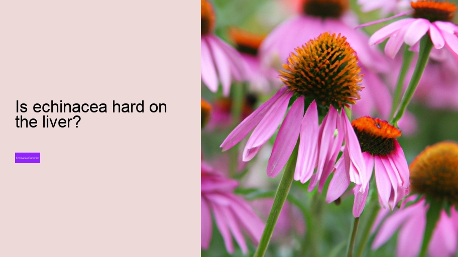 Is echinacea hard on the liver?