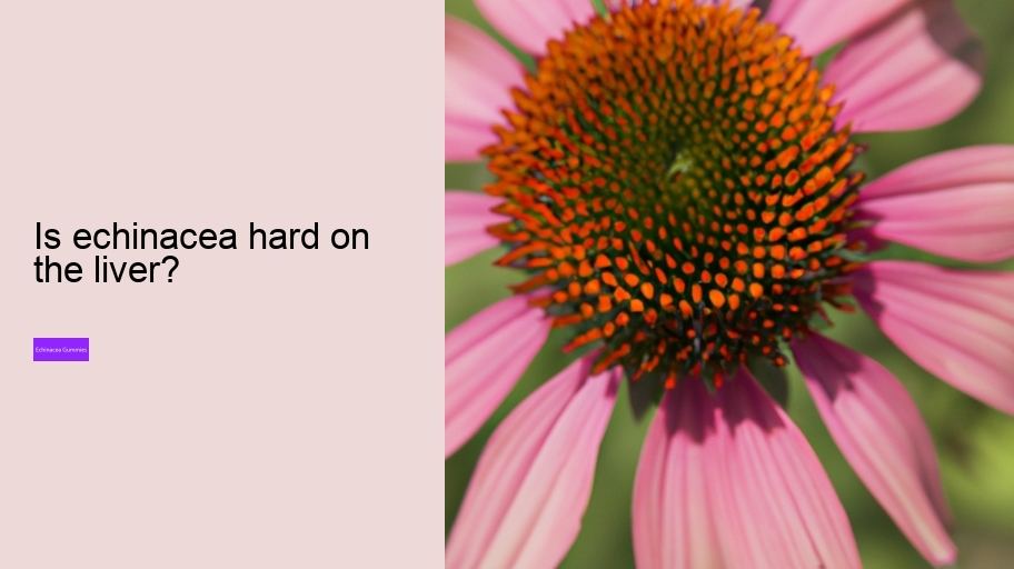 Is echinacea hard on the liver?