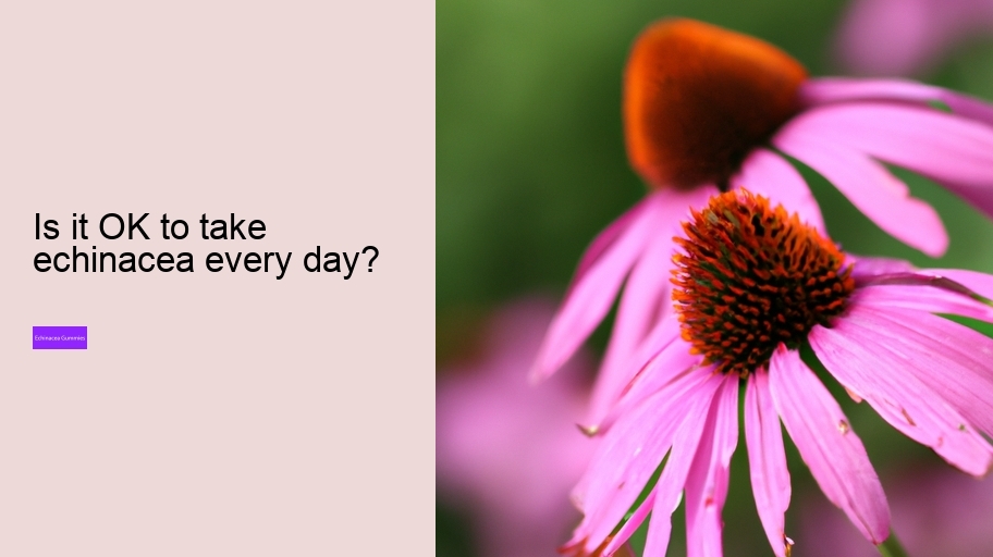 Is it OK to take echinacea every day?