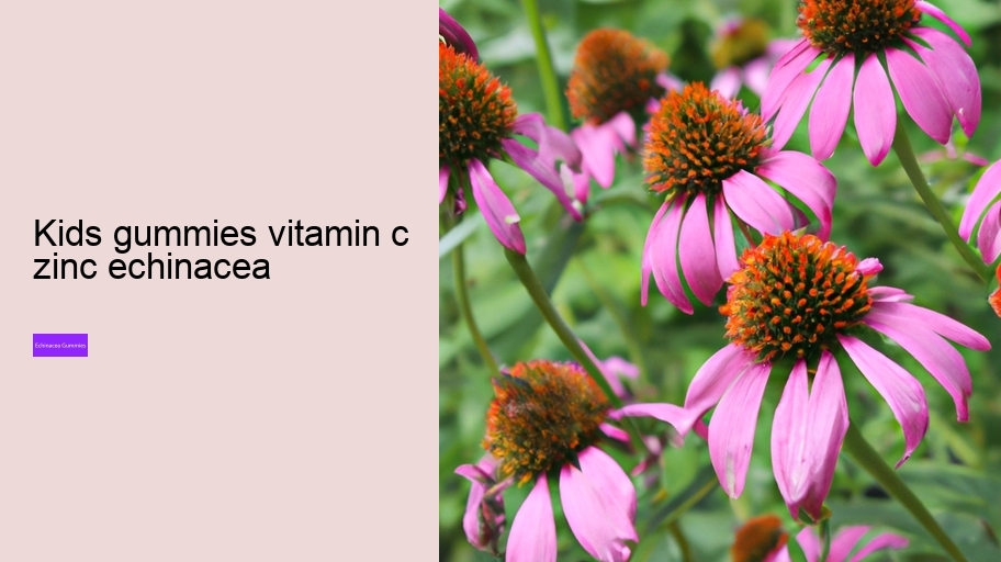 kids gummies vitamin c zinc echinacea