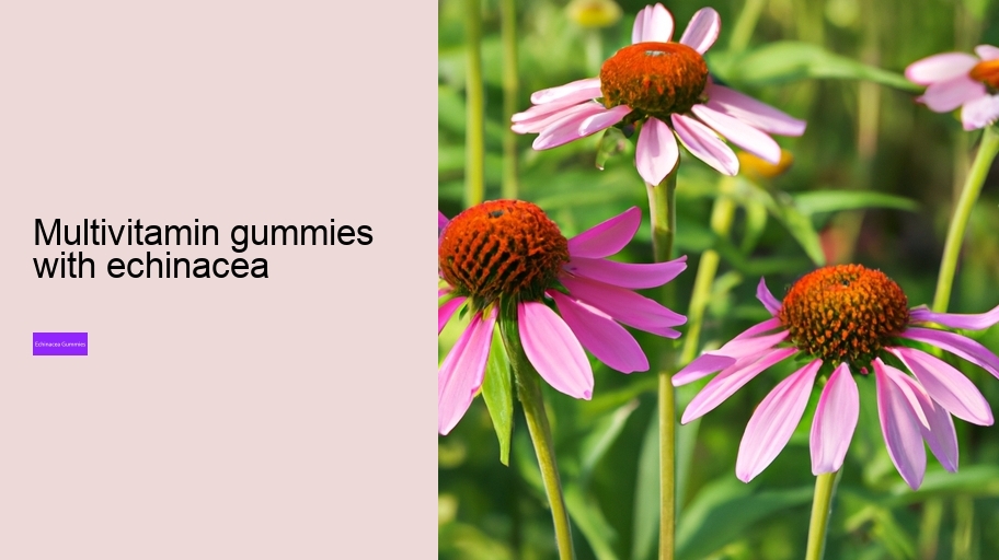 multivitamin gummies with echinacea