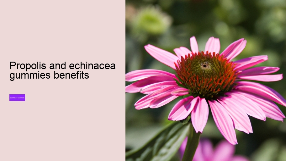 propolis and echinacea gummies benefits