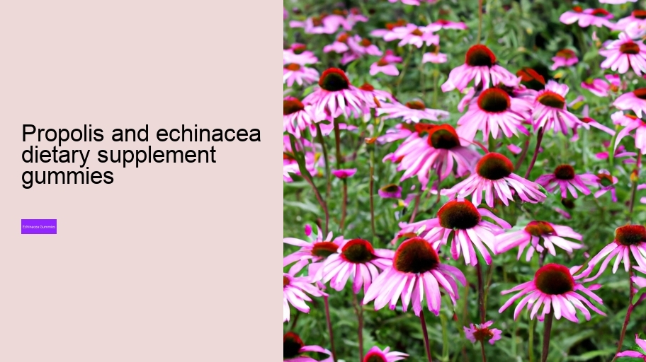 propolis and echinacea dietary supplement gummies