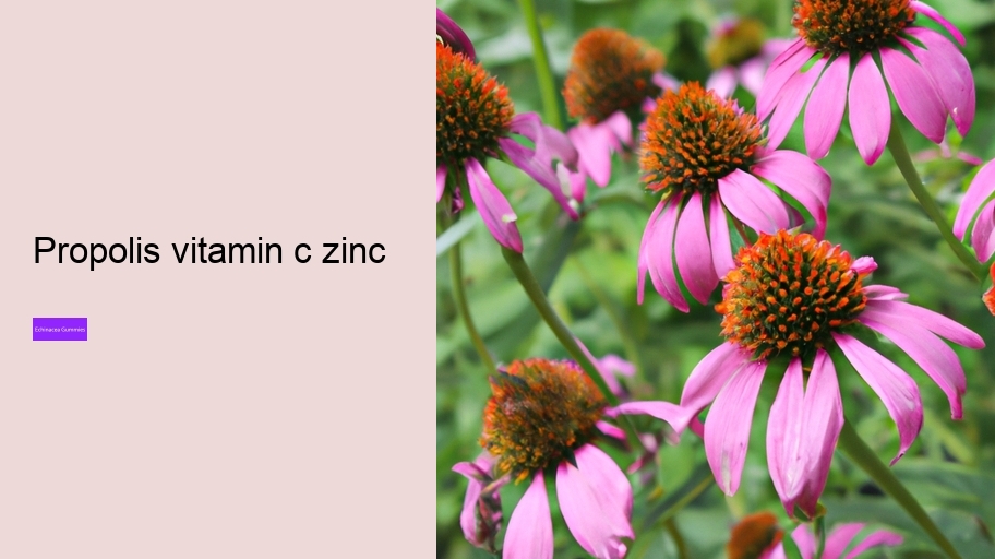 propolis vitamin c zinc