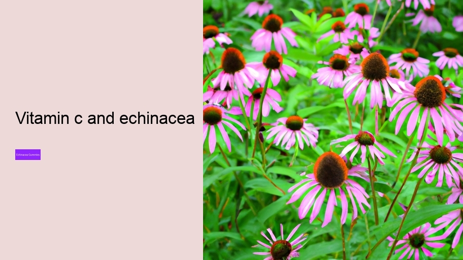 vitamin c and echinacea