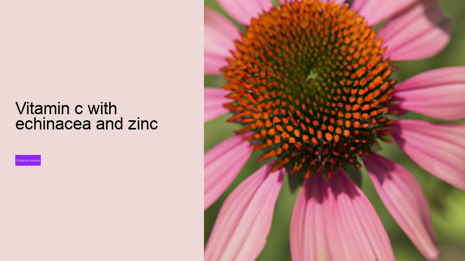 vitamin c with echinacea and zinc