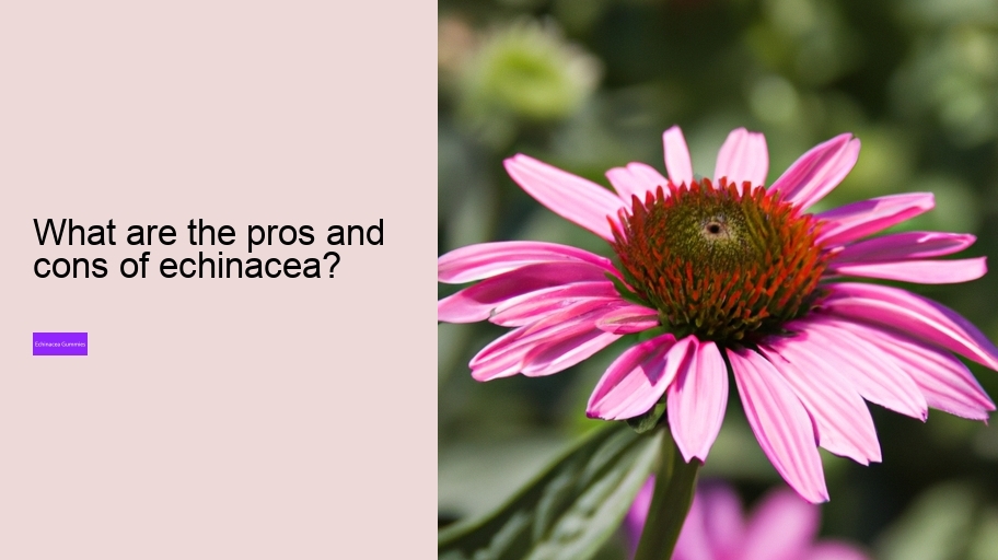 What are the pros and cons of echinacea?