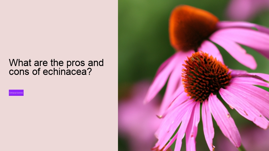 What are the pros and cons of echinacea?