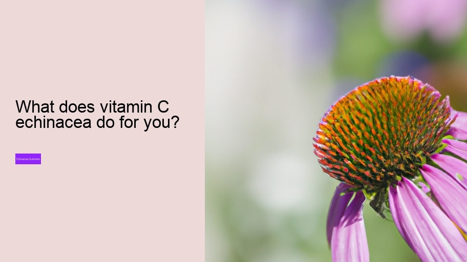 What does vitamin C echinacea do for you?