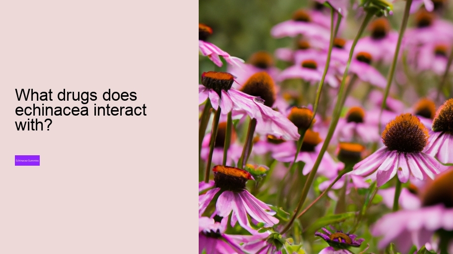 What drugs does echinacea interact with?