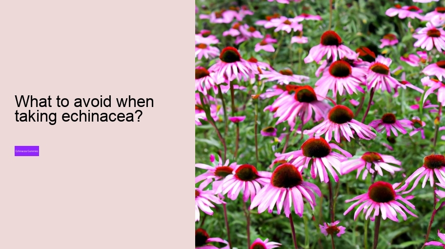 What to avoid when taking echinacea?