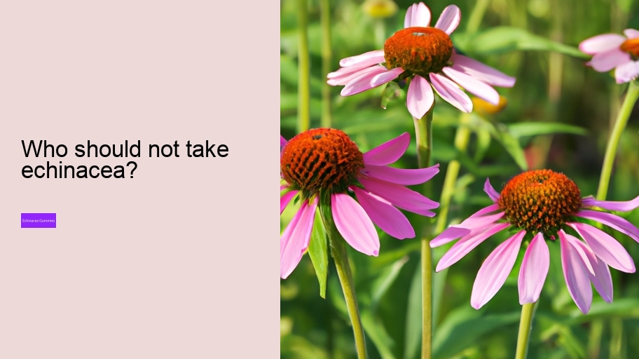 Who should not take echinacea?